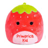 Primerica Kid Squishmallow